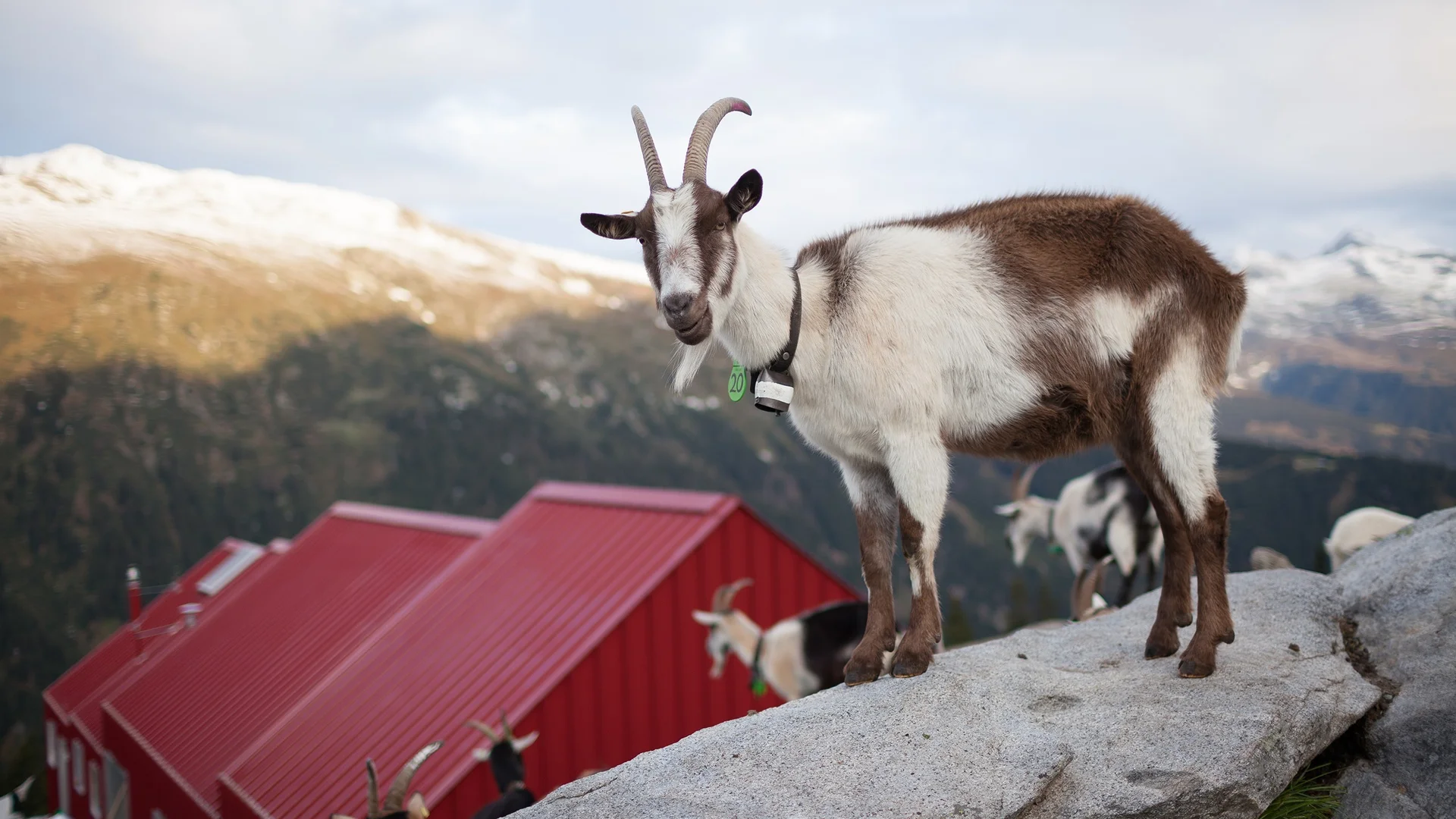 © Mythos Gotthard – Pass der Pioniere