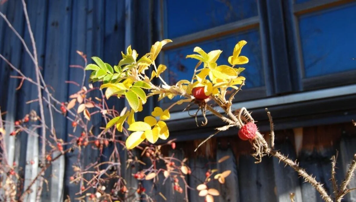 Herbst | © DAV Sektion Hameln / Robert Paulsteiner