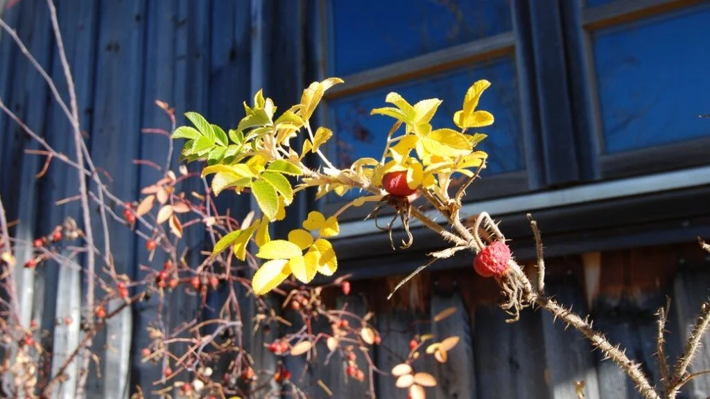 Herbst | © DAV Sektion Hameln / Robert Paulsteiner