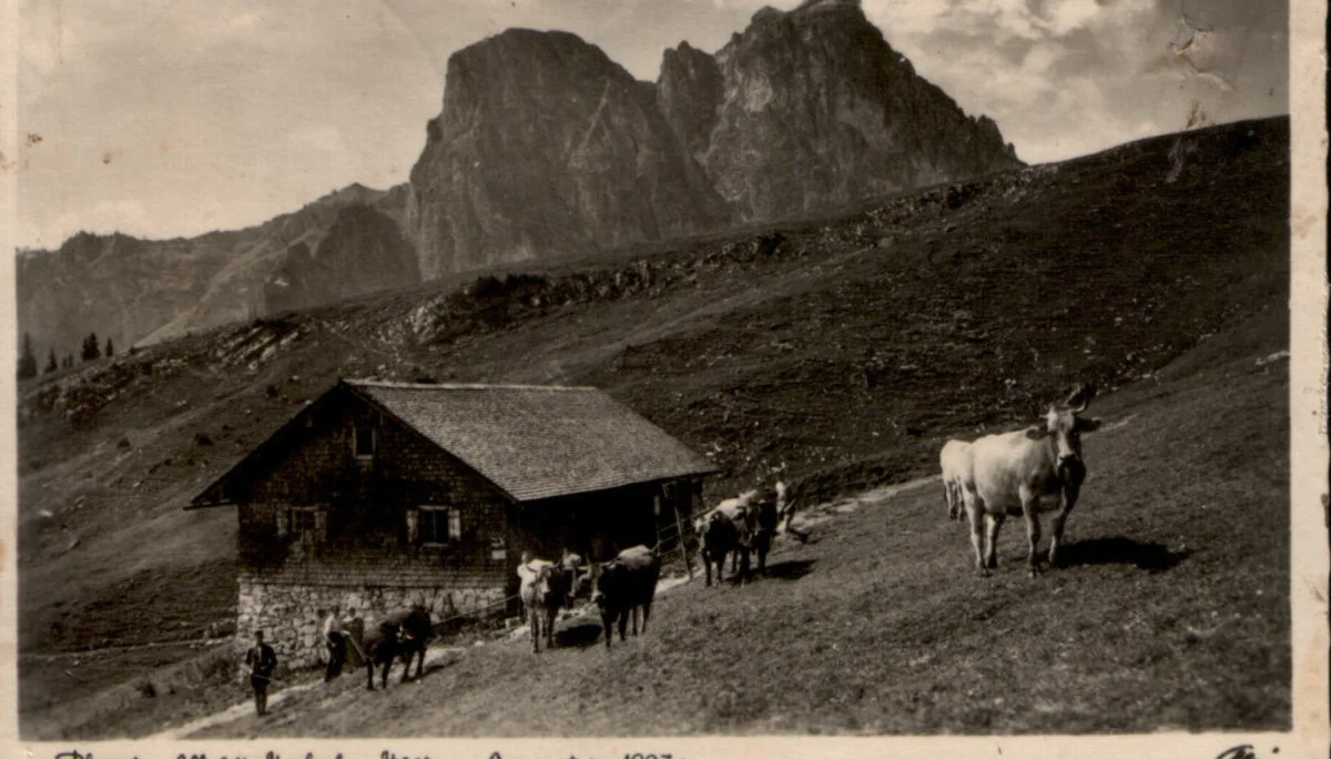 © DAV Sektion Hameln / Robert Paulsteiner