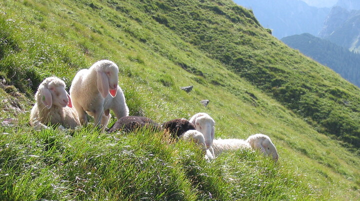 © DAV Sektion Hameln / Robert Paulsteiner